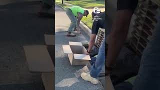 Ducklings reunited with mom duck after being rescued