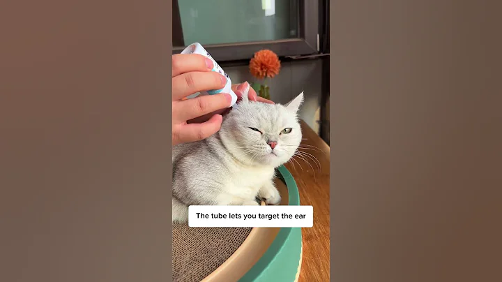 Clean your cat’s ear ASAP if…🚨