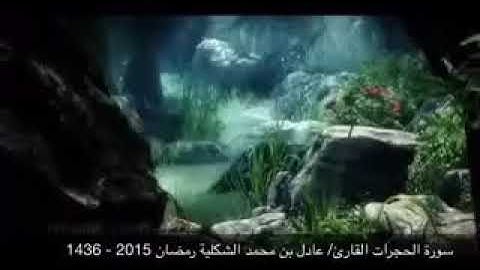 سورة الحجرات عادل الشكليه