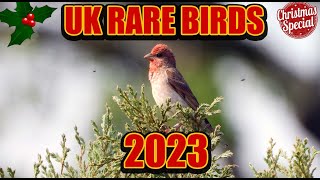 RARE UK BIRDS 2023  CHRISTMAS SPECIAL