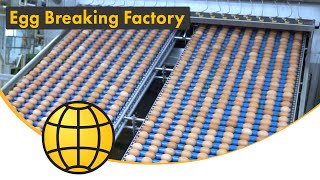 Egg Breaking Factory - Fully Automatic Egg Processing Line - 216.000 Eggs/Hour