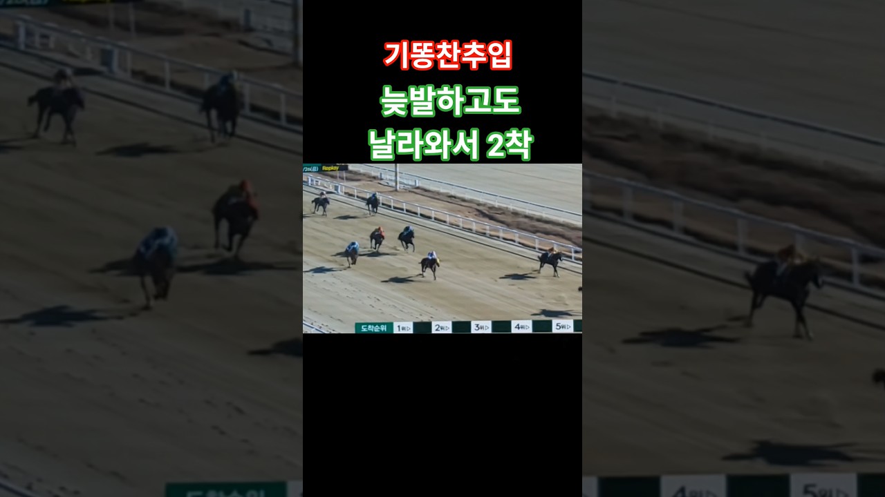저기서 날라온다고?#경마 #말 # 달려라말 #shrots #horse