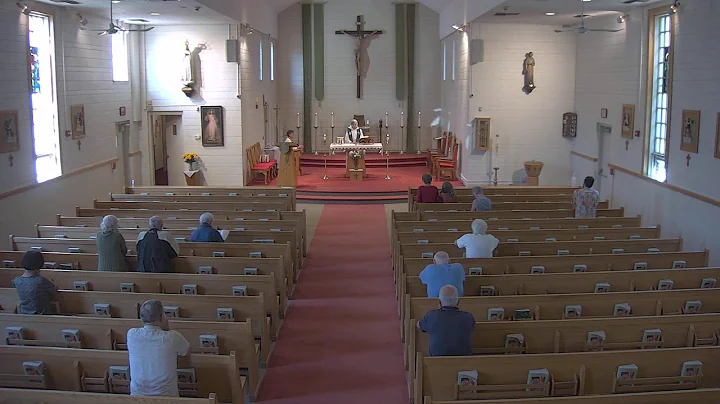 Daily Mass  8.00. a.m.  08-24-2022   + Fran Harrin...