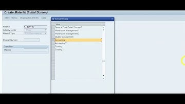 Manual  Reorder point Planning In SAP MM | Reorder point In SAP | Reorder point Planning In SAP