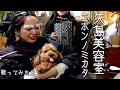 ニホンノミカタ(Nihon no Mikata) / 矢島美容室(Yazima Beauty Salon) - by Charan-Po-Rantan [歌ってみたよ169]