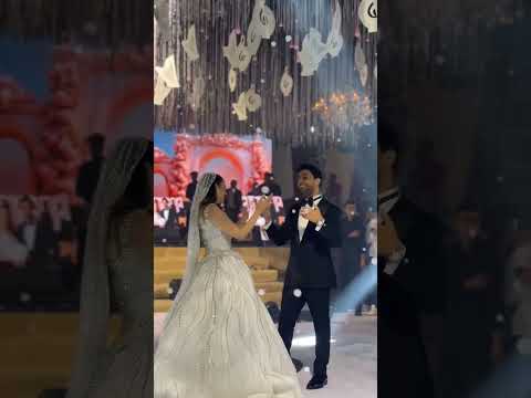 نظرات أحمد جمال لفرح الموجي وهو بيغني ليها في الفرح حديث السوشيال ميديا