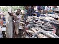 Cheapest fish market in the world | fish market in Bangladesh