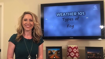 Weather 101: Types of Fog