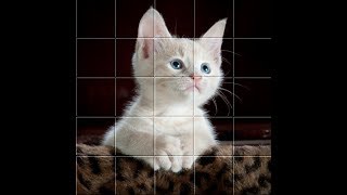 PICTURE PUZZLE FREE GAME FOR ANDROID screenshot 2