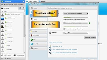 skype check mic speaker cam