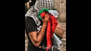 صرخت بأعلى صوت ??فلسطين #انقذو_حى_الشيخ_الجراح??️️