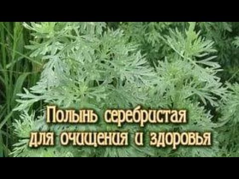 ОЧИЩАЮ ОРГАНИЗМ РАДИКАЛЬНО ПРОСТЫМ СПОСОБОМ 2.08.2017