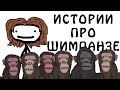 "Реальные истории про шимпанзе" - Академия Сэма О'Нэллы (Русская Озвучка Broccoli)
