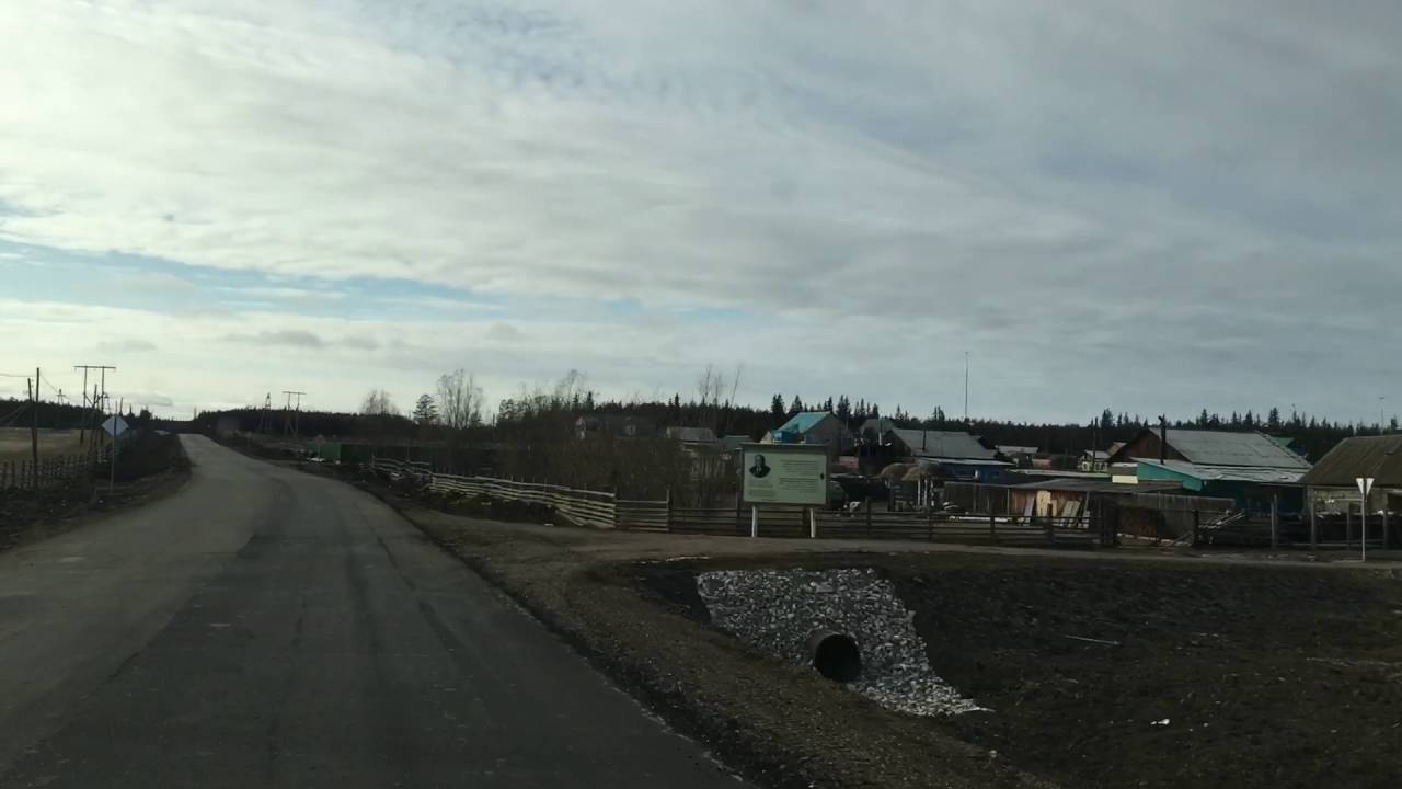 фото якутская корова смотреть