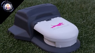 SwiftPaws: Capture the Flag Game for Dogs