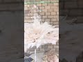 今回は、プリンセスガーデンのアクセサリーをご紹介