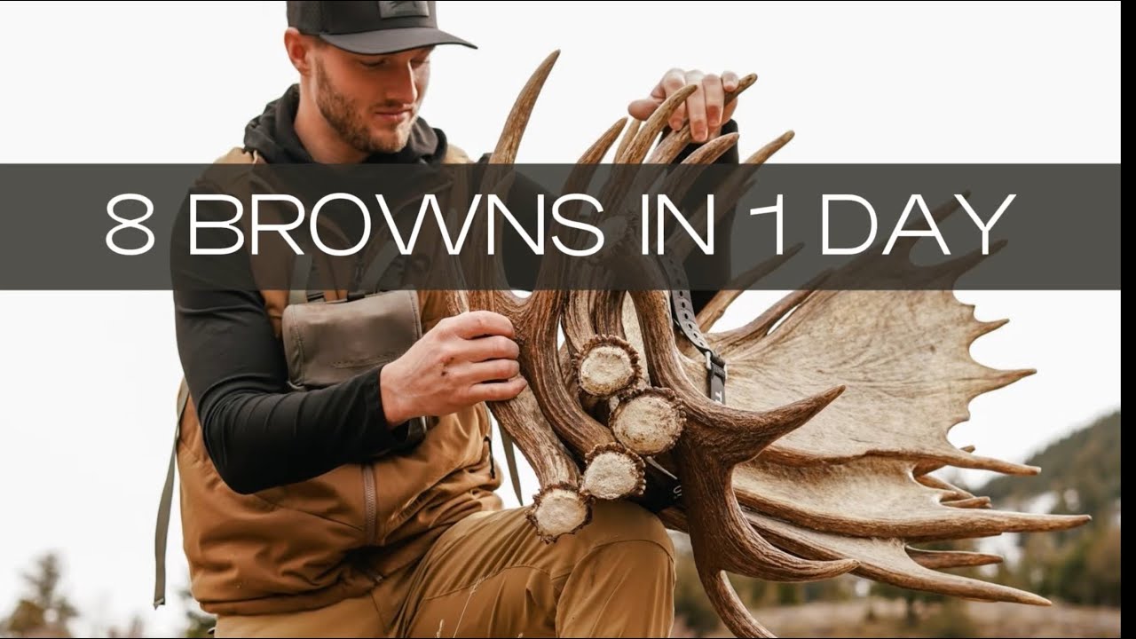 UNREAL Shed Hunt 2026 | 8 Brown Moose Sheds in ONE Day