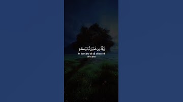 اكتب شيء تؤجر عليه 😴💚 قران كريم | القارئ ياسر الدوسري