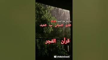 ماتيسر من سورة الكهف وسورة النور مسجلة من صلاة الفجر من مسجد الإمام علي رضي الله عنه شوربية