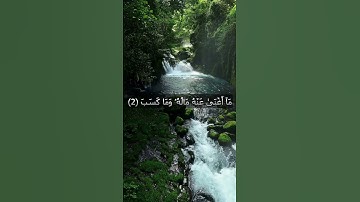 تلاوة تهز القلوب | من سورة المسد 😌 #المصحف #اكسبلور