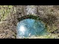 Dohneaufnahme Wald 4K 60FPS 