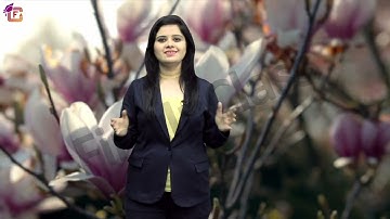 Common factors  | Class 06 | Maths | Chapter 03 | Playing With Numbers