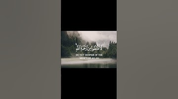 سورة الزمر الآية ( 53 )                        Surah Az-Zumar, verse (53)