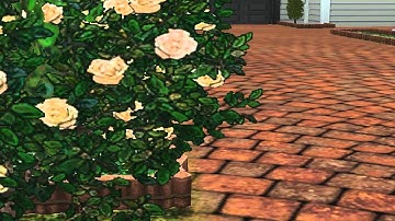 Sims 3 Next Top Model: Cycle 1 {Apply; CLOSED)