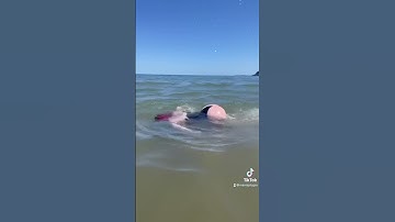 Thumbnail of Beware of the booty shark!