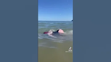 Beware Of The Booty Shark 