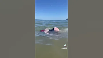 Beware of the booty shark!