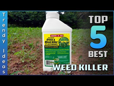 Top 5 Top 5 Best Weed Killers Review in 2022