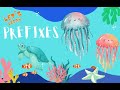 Understanding Prefixes Quiz