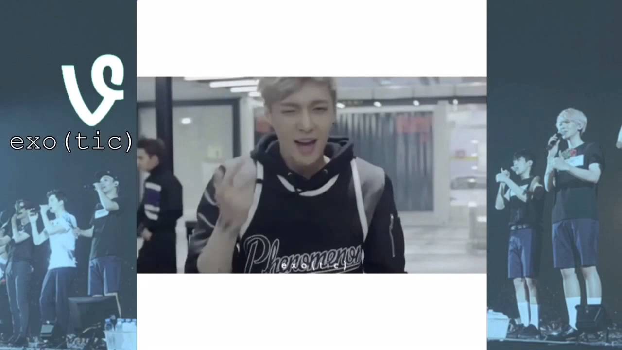 EXO VINES COMPILATION 2015 {PART 6} 엑소