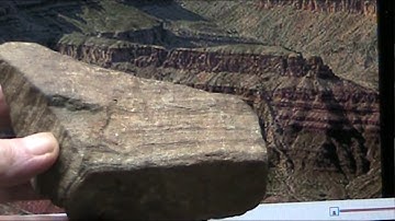 Dragons by Mudfossil University