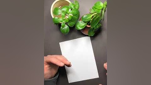 Contour Line Drawing - Art Lesson