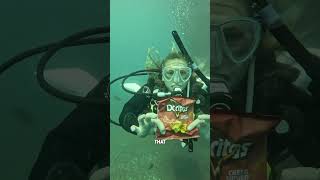 What Happens to Colours Underwater? Doritos Bag Scuba Diving Trick