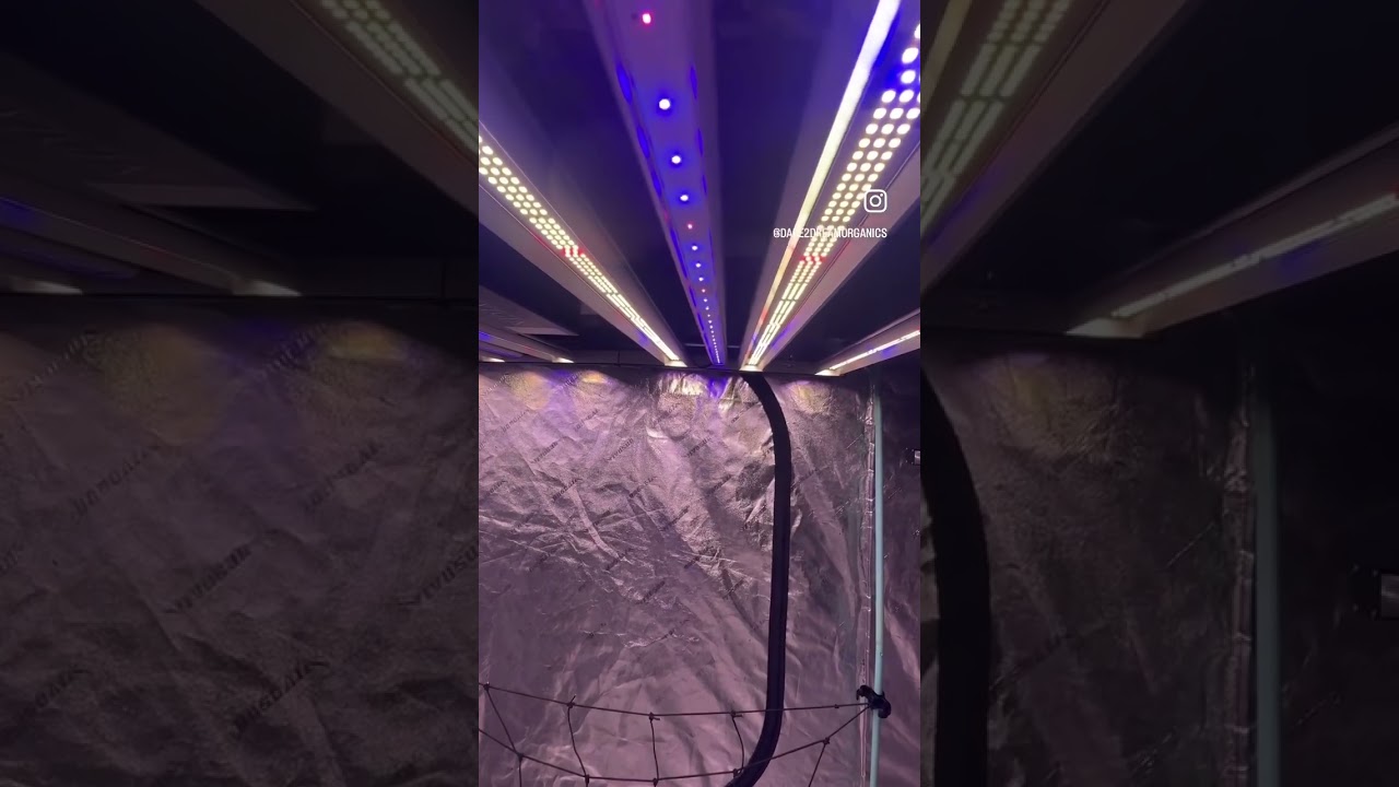 Slim 30 UV/IR Bars added to Slim 600H NextGen