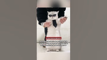 Sẽ siết chặt hoạt động quảng cáo của người nổi tiếng có từ 500.000 người theo dõi