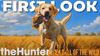 FIRST 'IN GAME' LOOK at LABRADOR RETRIEVERS - WATCH THEM SWIM!!! - Call of the Wild Update News