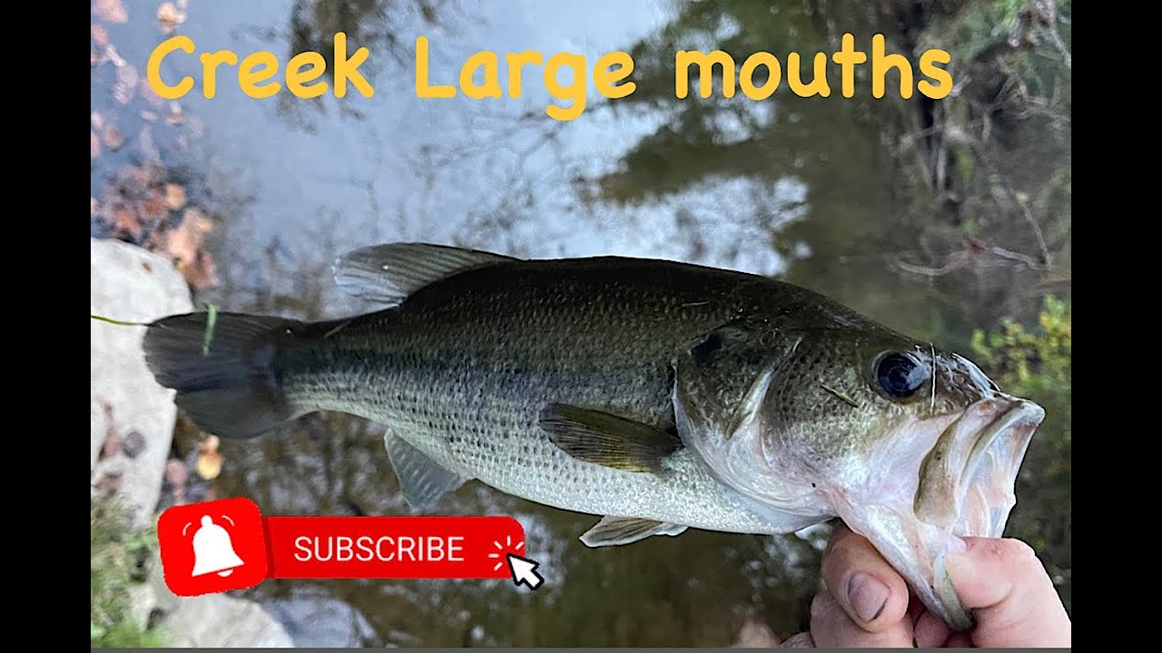 Pittsburgh spillway fishing