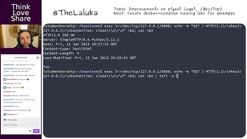EP 002 | pty4all improvements, implementing curl, wget, and bash /dev/tcp fallback methods!