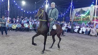 ارزاق بطلة البحيرة والمعلم كرم سرحان حفلة العمدة محمد عاطف الشوامي بلقاس 2023