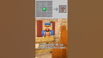 Respect For Wandering Trader ❤️ #shorts #minecraft #trending