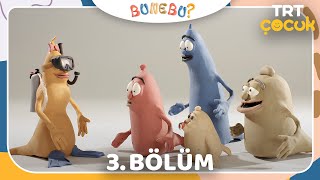 TRT ÇOCUK / BU NE BU / 3.BÖLÜM