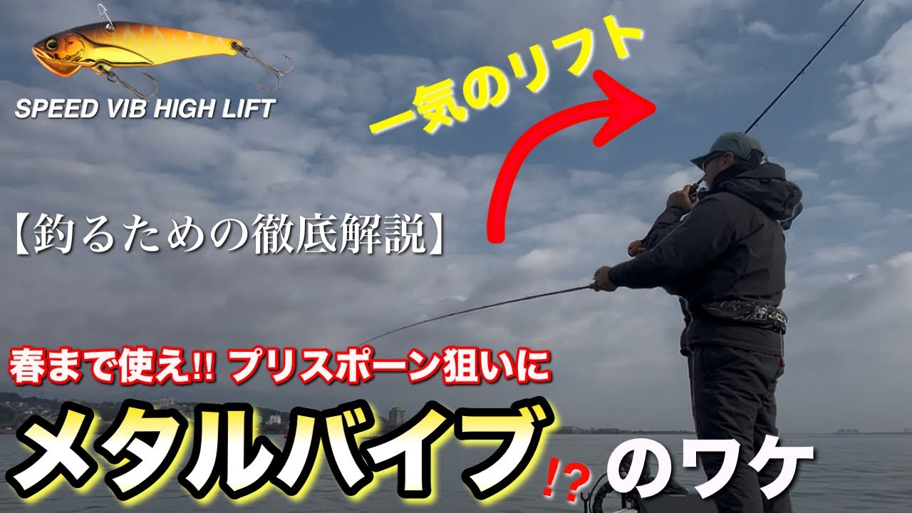 SPEED VIB HIGH LIFT - FRESH WATER バス釣り ｜JACKALL｜ジャッカル