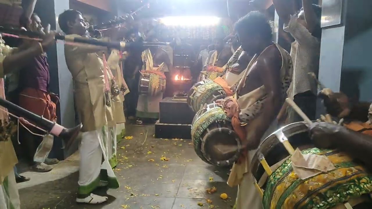 ആനപ്പാറ Brothers ... Song maruthamali 