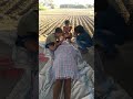 Buchi Kumari pujawa mar Gail Comedy video Whatsapp Status Video Download Free