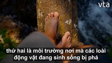 Unit 10 Lớp 11 Nature in Danger - Bài dịch tiếng Việt SGK tiếng Anh I English 11 Reading