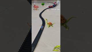 Tortoise Brachiosaurus 🦕 🐢 | Dinosaur Cartoon 🦕🦖 | Dinosaur Cartoon Video 🦕🦖🐢